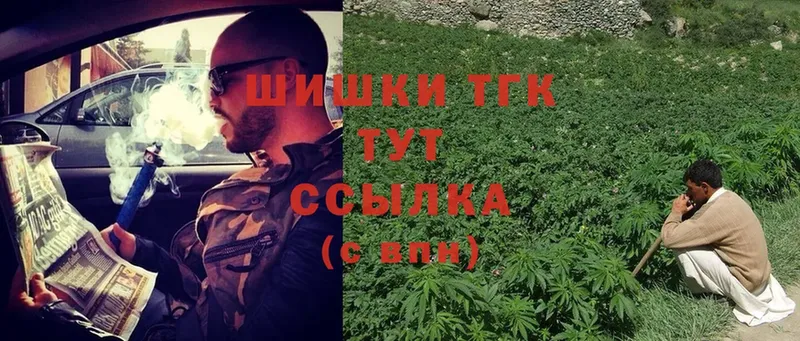 где найти наркотики  Мышкин  Канабис сатива 